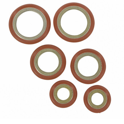 A/C Compressor Seal