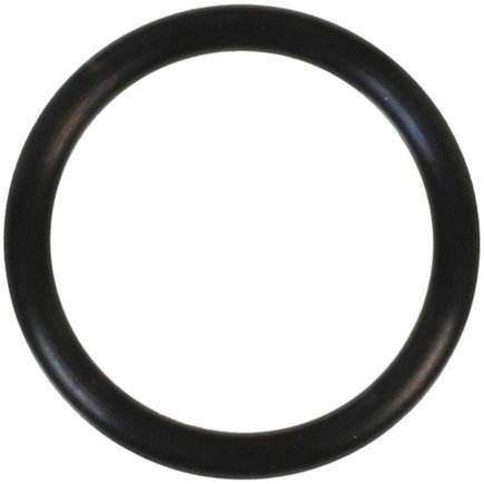 Engine Coolant Water Inlet O-Ring