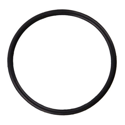 Fuel Injection Idle Air Control Valve Seal