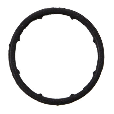 Engine Oil Cooler Line Seal