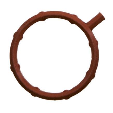 Exhaust Gas Recirculation (EGR) Valve Seal