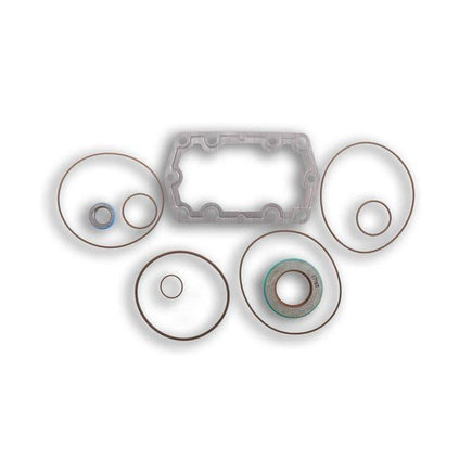 Gaskets and Sealing Systems