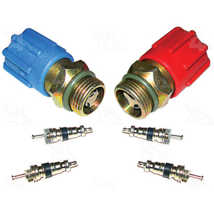 A/C System Valve Core and Cap Kit