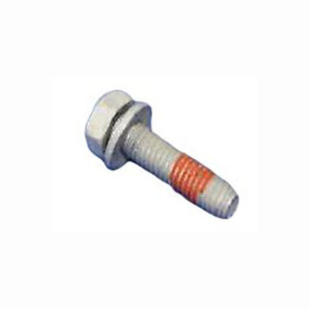 Engine Water Pump Bolt