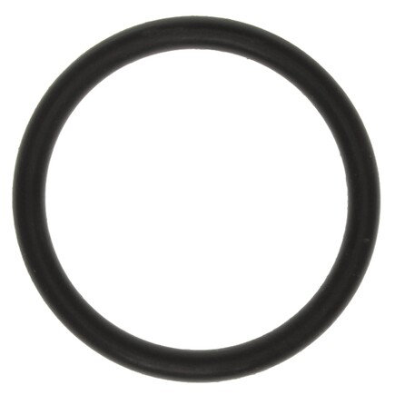Engine Coolant Outlet O-Ring