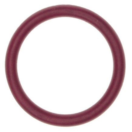 Engine Oil Pump Pickup Tube O-Ring