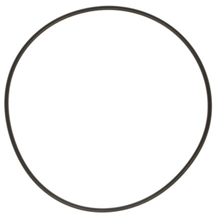 Engine Water Pump Backing Plate Gasket