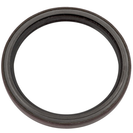 Manual Transmission Bearing Retainer Seal
