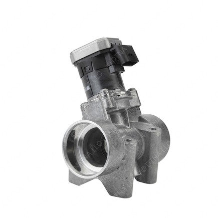 Exhaust Gas Recirculation (EGR) Valve