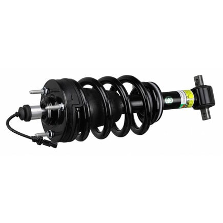 Suspension Strut and Coil Spring Assembly