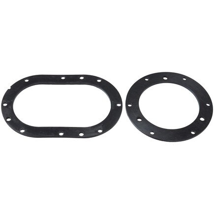 Fuel Pump Tank Seal