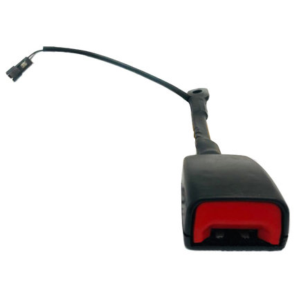 Seat Belt Buckle Assembly
