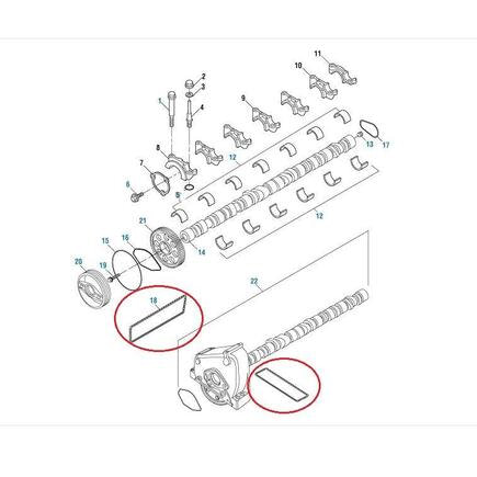 Chevrolet S10 Engine Camshaft Housing Gasket