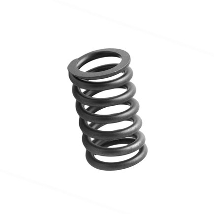Fuel Injection Pump Spring