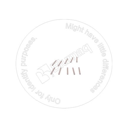 Needle Bearing Roller