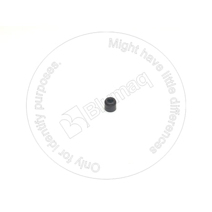 Engine Cylinder Head Seal