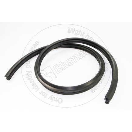 Door Molding Seal