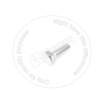 Engine Cooling Fan Pulley Bolt