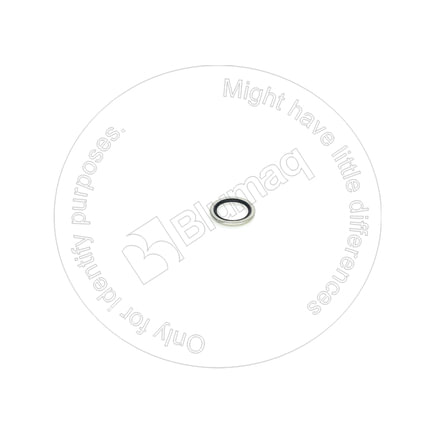 Rubber-Bonded Sealing Washer