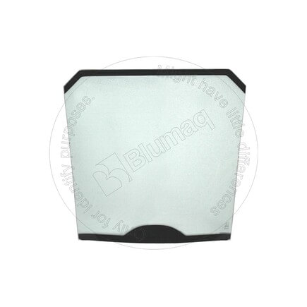 Windshield