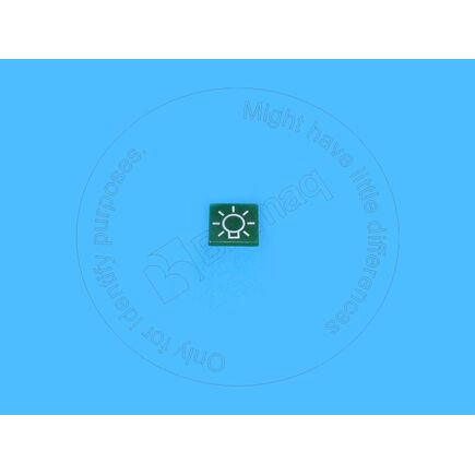 Flasher Indicator Lens