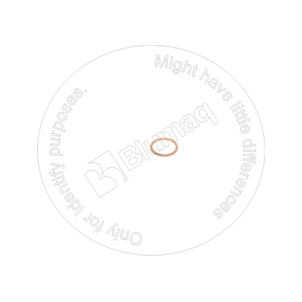 Transfer Case Oil Drain Plug Seal