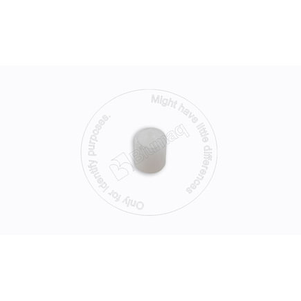Fuel Pressure Restrictor