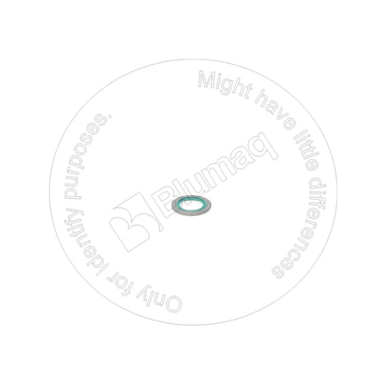 Rubber-Bonded Sealing Washer