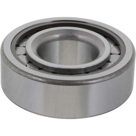 Differential Pilot Bearing