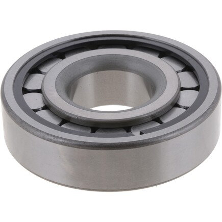 Freightliner Cascadia Differential Pilot Bearing