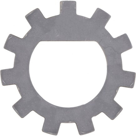 Axle Nut Washer