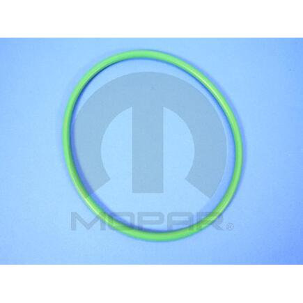 Fuel Pump O-Ring