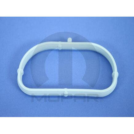 Engine Intake Manifold Seal