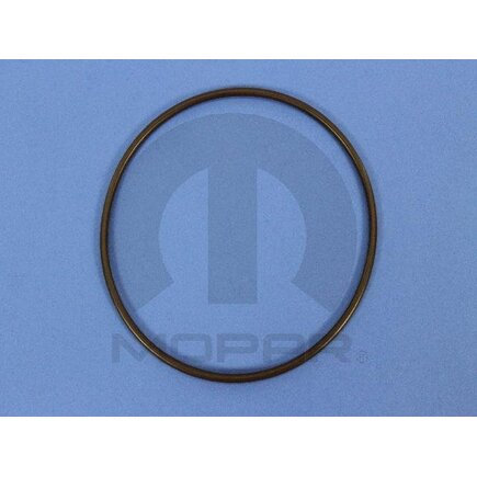 Fuel Injection Pump O-Ring