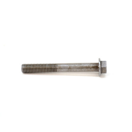 Engine Oil Filter Housing Bolt