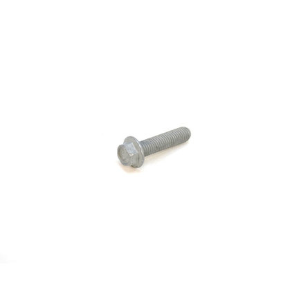 Engine Water Pump Bolt