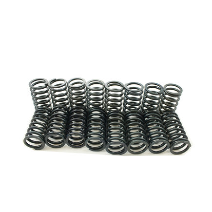 Engine Valve Spring Kit