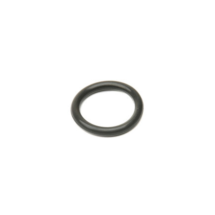 Engine Coolant Temperature Sensor O-Ring