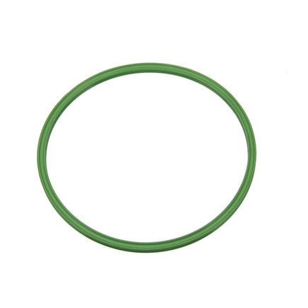 Suzuki Swift Fuel Pump Tank Seal