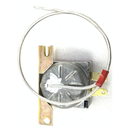 Ford Thermostatic Switch