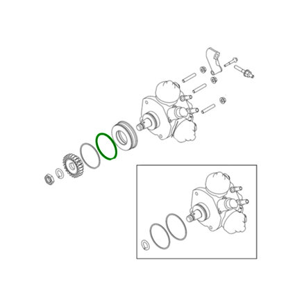Diesel Fuel Injector Pump Seal