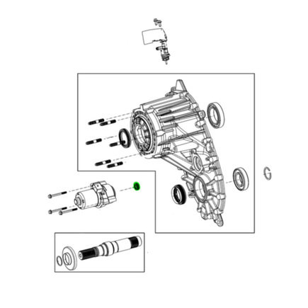 Automatic Transmission Shift Lever Seal