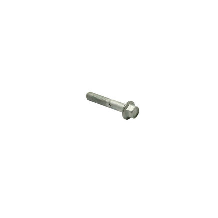 Fuel Filter Bolt