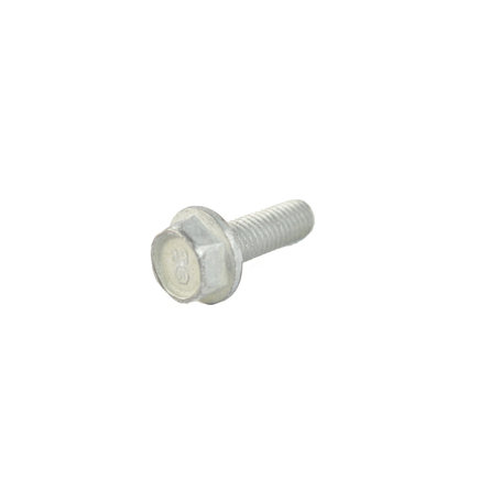 Engine Oil Filter Adapter Bolt