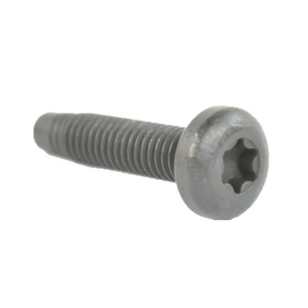 Park Assist Camera Screw