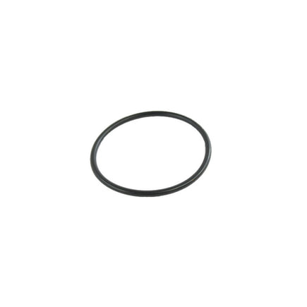 Engine Coolant Thermostat O-Ring
