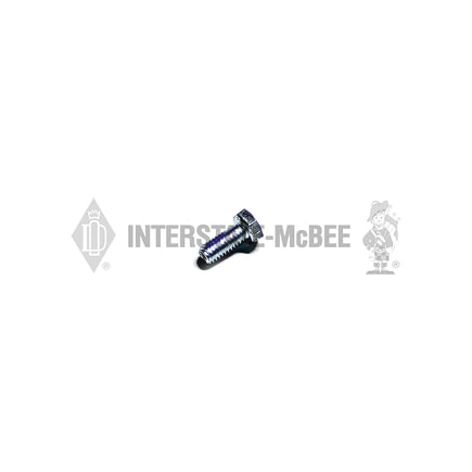 Fuel Pump Bolt