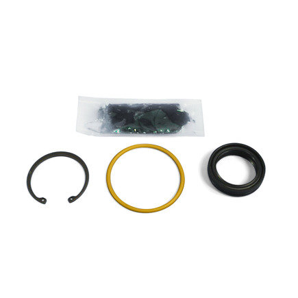 Steering Gear Pitman Shaft Seal Kit