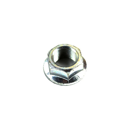 Fuel Pump Cap Nut