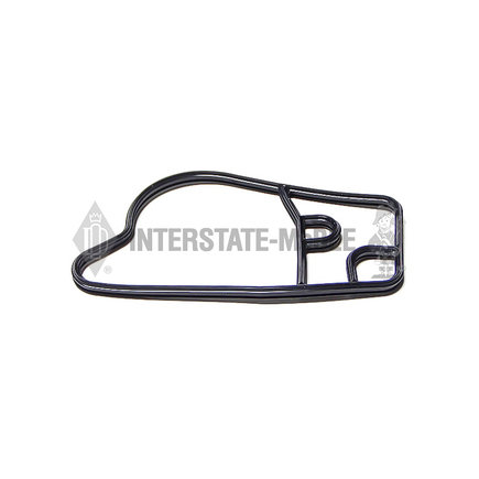 Fuel Pump Gasket